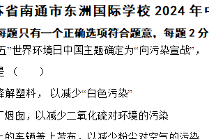 江苏省南通市东洲国际学校2024年中考化学三模测试题（含解析）