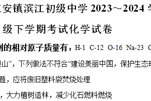 江苏省如皋市江安镇滨江初级中学2023～2024学年九年级下学期月考化学试卷（含解析）