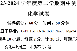 江苏省宿迁市宿城区2023-2024学年九年级下学期期中（一模）化学试题（含解析）