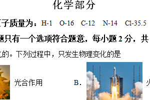 江苏省宿迁市宿城区2024年中考一模化学试卷（含解析）