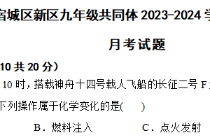 江苏省宿迁市宿城区新区九年级共同体2023-2024学年九年级下学期化学4月月考试题（含解析）