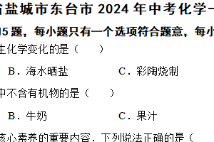 江苏省盐城市东台市2024年中考化学一模试卷（含解析）