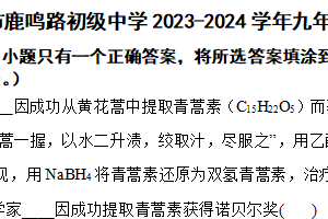 江苏省盐城市鹿鸣路初级中学2023-2024学年九年级下学期化学期中考试试卷（含解析）