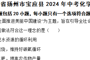 江苏省扬州市宝应县2024年中考化学二模试卷（含解析）