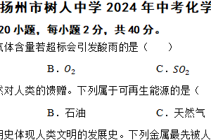 江苏省扬州市树人中学2024年中考化学第一次模拟考试试卷（含解析）