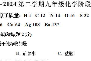 江苏省镇江市丹徒区上会中学2023-2024学年九年级下学期3月月考化学试题（含解析）