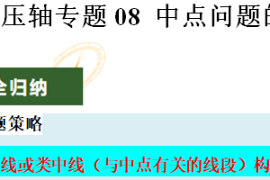 压轴专题08 中点问题的探究-2025年中考数学压轴题专项训练（15页）（江苏专用）