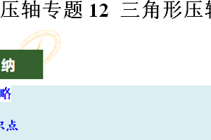 压轴专题12 三角形压轴-2025年中考数学压轴题专项训练（19页）（江苏专用）