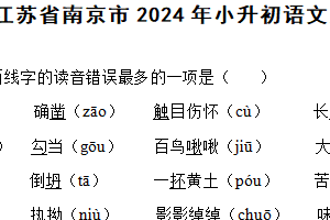 江苏省南京市2024年小升初语文质量调研卷（含解析）