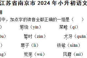 江苏省南京市2024年小升初语文重难点检测卷（含解析）