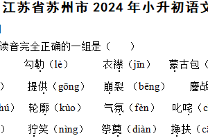 江苏省苏州市2024年小升初语文质量调研卷（含解析）