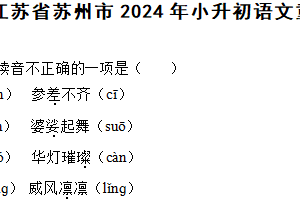 江苏省苏州市2024年小升初语文重难点检测卷（含解析）