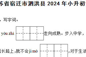 江苏省宿迁市泗洪县2024年小升初语文试卷（含解析）