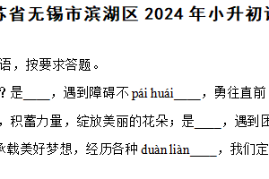 江苏省无锡市滨湖区2024年小升初语文模拟试卷（含解析）