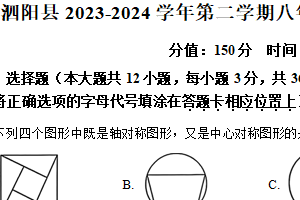 江苏省宿迁市泗阳县2023-2024学年八年级第二学期期末数学试题（含解析）