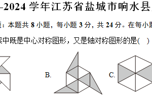江苏省盐城市响水县2023-2024学年八年级（下）期末数学试卷(含答案)