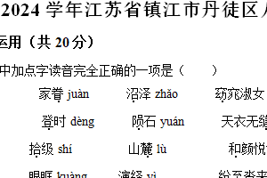 江苏省镇江市丹徒区2023-2024学年八年级下学期期末语文试题（含解析）