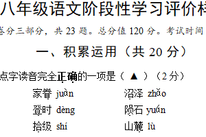 江苏省镇江市句容市2023-2024学年八年级下学期期末语文试题（含答案）