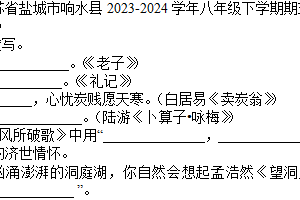 江苏省盐城市响水县2023-2024学年八年级下学期期末语文试卷（含答案）