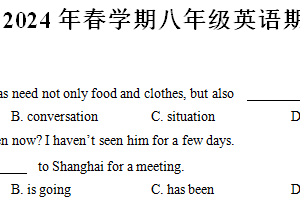 江苏省东台市实验中学2023-2024学年八年级下学期期末练习英语试卷（含答案）