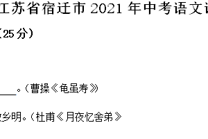2021年江苏省宿迁市中考语文试题（含解析）