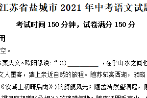 2021年江苏省盐城市中考语文试题（含解析）