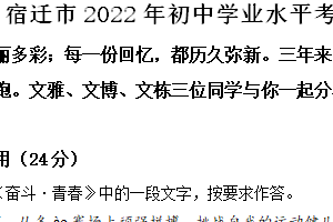 2022年江苏省宿迁市中考语文真题（含解析）
