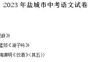 2023年江苏省盐城市中考语文真题（含解析）