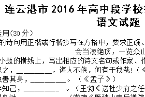 2016年江苏省连云港市中考语文试题（含答案）