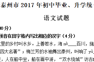 2017年江苏省泰州市中考语文试卷（含答案）