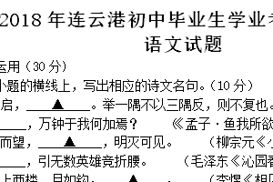 2018年江苏省连云港市中考语文试题（含答案）
