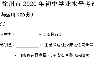 2020年江苏省徐州市中考语文试题（含答案）