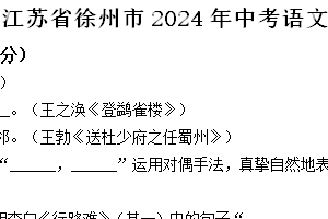 2024年江苏省徐州市中考语文试题（含解析）