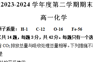 江苏省南京市江宁区2023-2024学年高一下学期期末考试 化学（含答案）