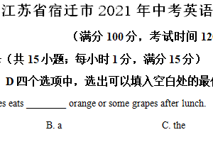 2021年江苏省宿迁市中考英语试题（含解析）