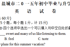 2015年江苏省盐城市中考英语试题（含答案）