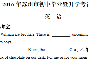 2016年江苏省苏州市中考英语试题（含答案）