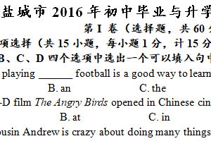 2016年江苏省盐城市中考英语试题（含答案）