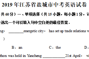 2019年江苏省盐城市中考英语试题（含解析）
