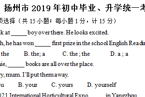 2019年江苏省扬州市中考英语试题（含解析）