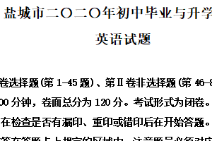 2020年江苏省盐城市中考英语试题（含解析）