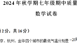 江苏省常州市金坛区2024-2025学年上学期七年级数学期中质量调研试题（含解析）