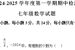 江苏省徐州市沛县2024-2025学年七年级上学期11月期中考试数学试题（含解析）