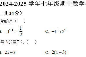 江苏省徐州市沛县第五中学2024-2025学年七年级上学期11月期中考试数学试题（含解析）
