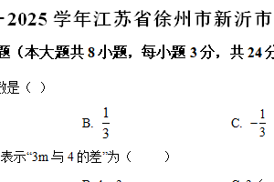 江苏省徐州市新沂市2024-2025学年七年级上学期11月期中数学试卷（含解析）