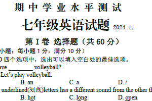 江苏省淮安市金湖县2024-2025学年七年级上学期11月期中考试英语试题（含答案）