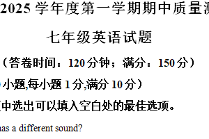 江苏省南通市启东市2024-2025学年七年级上学期11月期中考试英语试题（含解析）