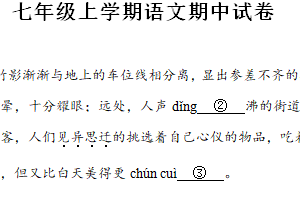 江苏省苏州工业园区星湾学校2024-2025学年七年级上学期期中语文试题（含解析）