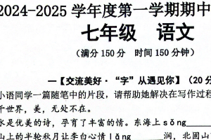 江苏省宿迁市宿城区2024-2025学年七年级上学期11月期中语文试题（含答案）