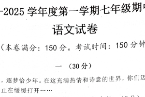 江苏省宿迁市宿城区新区教学共同体2024-2025学年七年级上学期11月期中语文试题（含答案）